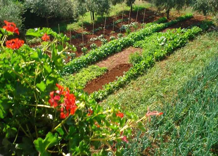 Apartament Jasna