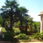 Jasna Umag