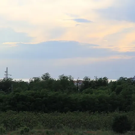 Jasna Umag